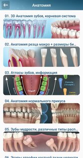 Стоматология - 3D иллюстрации 2.1.101. Скриншот 3