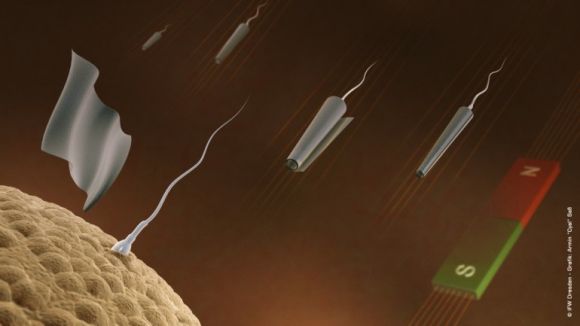 Игра Бегущий сперматозоид играть бесплатно онлайн (аркады)