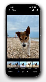 Right Gallery 6.0.0. Скриншот 7