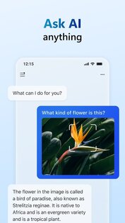 Copilot 30.0.430519001. Скриншот 2