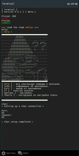 Terminal Hack 0.0.1. Скриншот 2