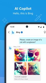 Skype Insider 8.138.76.213. Скриншот 2