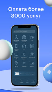 Payberry 3.146.0418. Скриншот 1