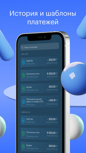 Payberry 3.146.0418. Скриншот 7