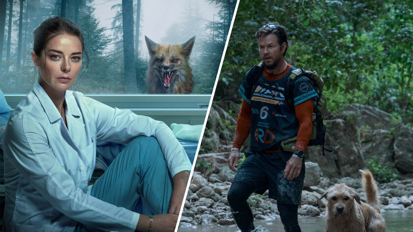 Эти фильмы стоить посмотреть в кинотеатре: собака участвует в гонке по джунглям, Китон спасает сына