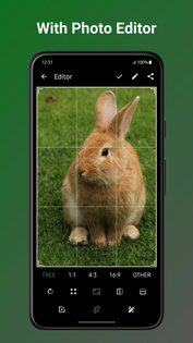 Fossify Gallery 1.3.0. Скриншот 2