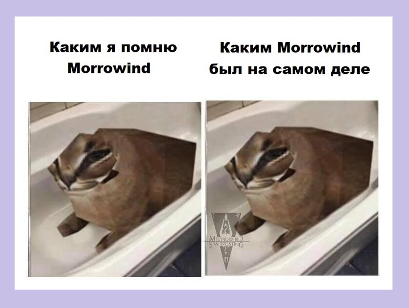 Morrowind всегда прекрасен 😌