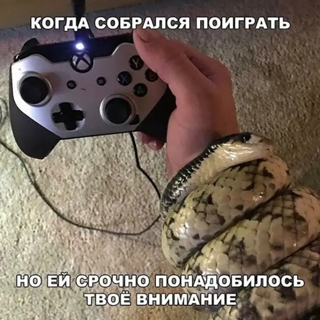 Упссс…