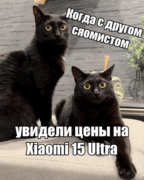 Есть слух, что топовый флагман Xiaomi будут продавать за 1 500 долларов. Уже не топ за свои деньги?