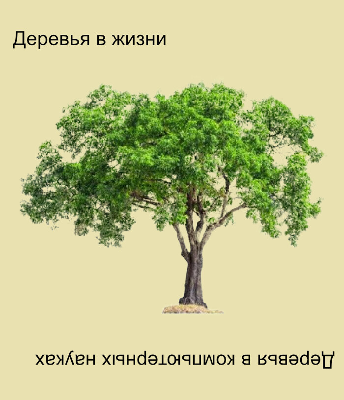 Дерево здорового человека и дерево айтишника
