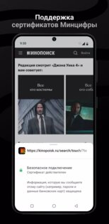 Браузер Луна 1.6.1. Скриншот 2