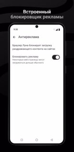 Браузер Луна 1.6.1. Скриншот 3