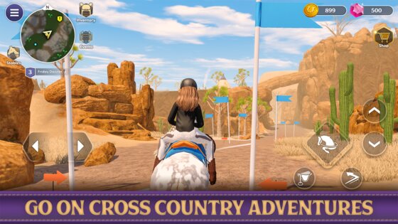 Star Equestrian 498.0. Скриншот 9