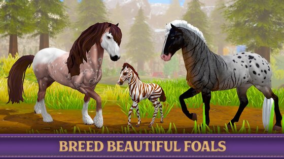 Star Equestrian 498.0. Скриншот 10