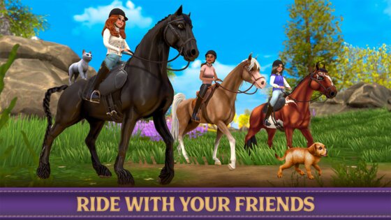 Star Equestrian 498.0. Скриншот 11