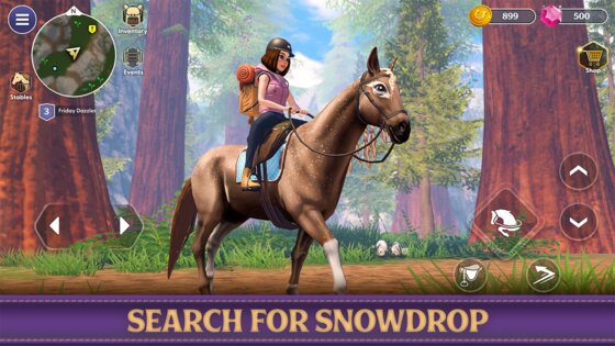 Star Equestrian 498.0. Скриншот 14