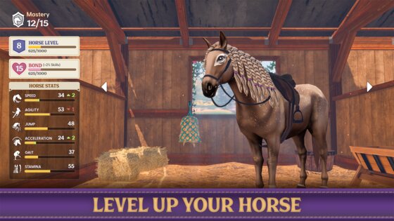Star Equestrian 498.0. Скриншот 16