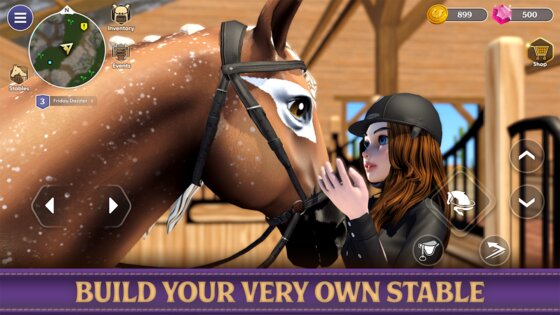 Star Equestrian 498.0. Скриншот 26