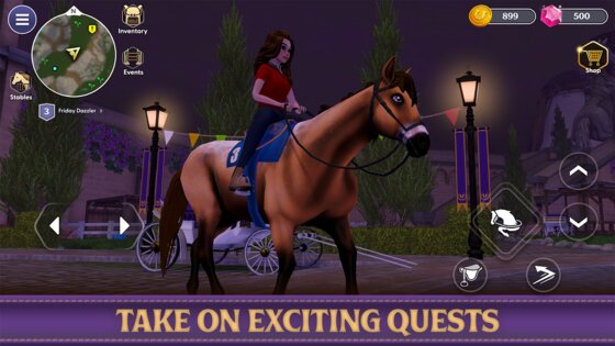 Star Equestrian 498.0. Скриншот 27