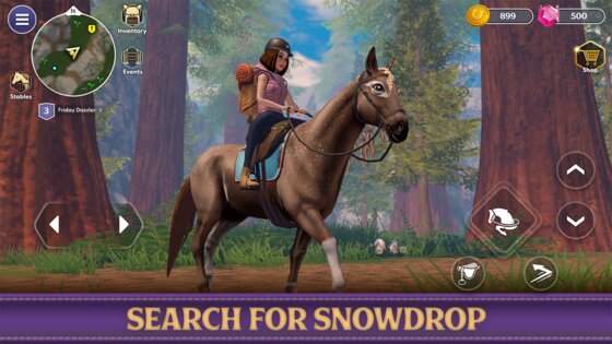 Star Equestrian 498.0. Скриншот 28