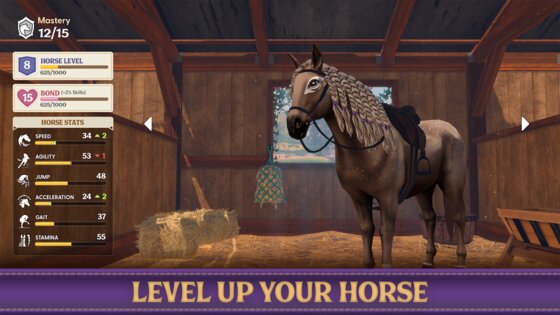 Star Equestrian 498.0. Скриншот 30