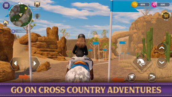 Star Equestrian 498.0. Скриншот 31