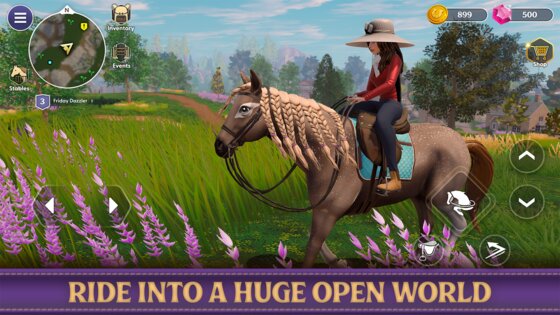 Star Equestrian 498.0. Скриншот 33