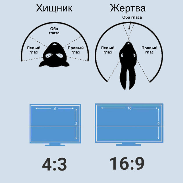 А если у меня монитор 21:9, то я кто?