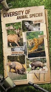Hunting Sniper 3.00.0101. Скриншот 2