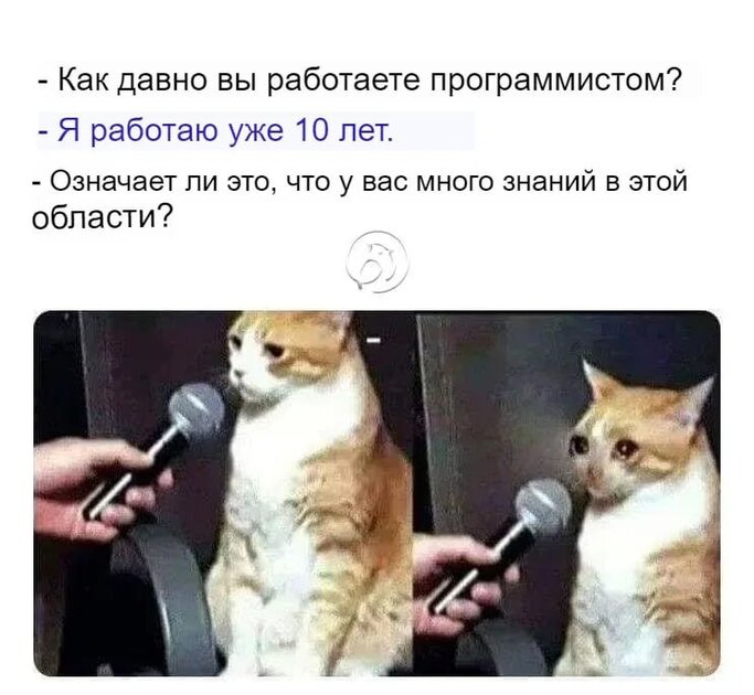 Не, все равно где-то существуют настоящие программисты