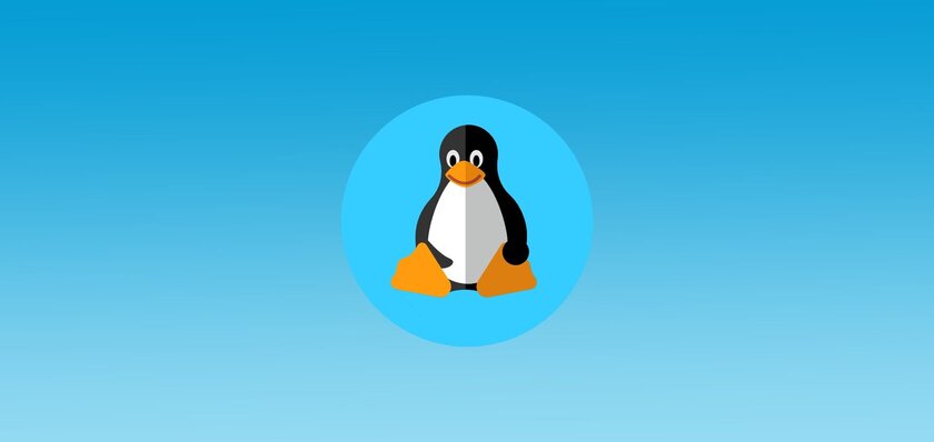 Закрытая дверь не помеха: в России может появиться своё Linux-сообщество