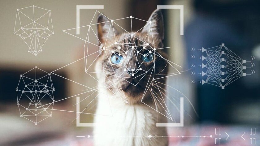 В России создали точнейший метод распознавания неизвестных объектов на фото: -20% ошибок