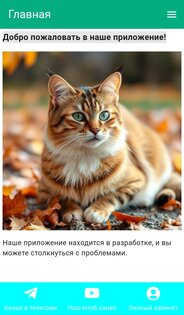 Catniti app 1.0.6. Скриншот 1