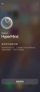 Службы Взаимосвязанности Xiaomi 17.0.0.0.2503131119. Скриншот 2