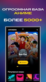 ANIXMEDIA 1.0.1. Скриншот 3