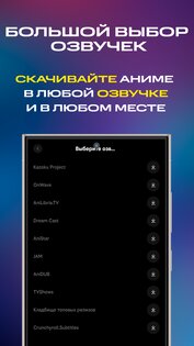 ANIXMEDIA 1.0.1. Скриншот 7