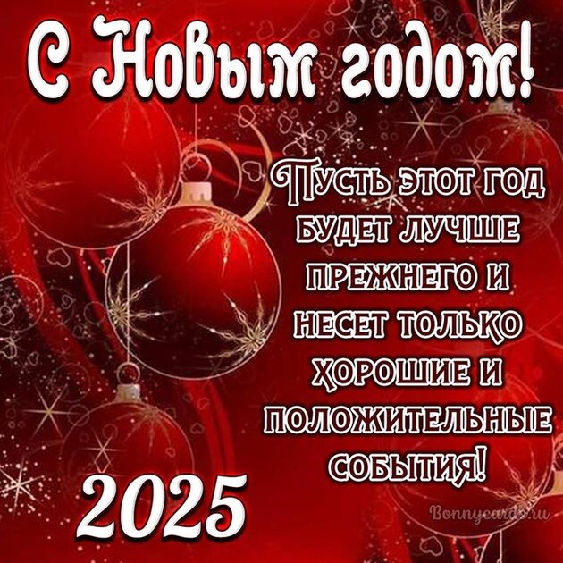 С наступающим Новым 2025 годом!