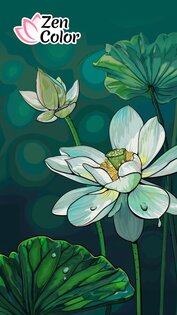 Zen Color 1.54.8. Скриншот 1