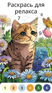Zen Color 1.54.8. Скриншот 4