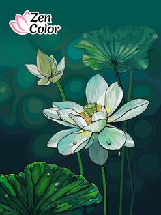 Zen Color 1.54.8. Скриншот 17