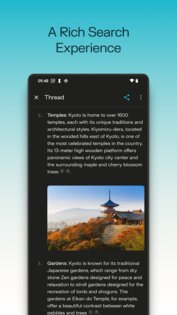 Perplexity 2.43.1. Скриншот 2