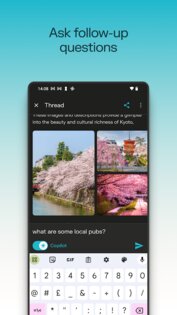 Perplexity 2.43.1. Скриншот 3