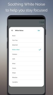 Engross 11.3.0. Скриншот 8
