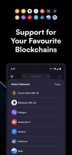 VGX Wallet 4.0. Скриншот 4