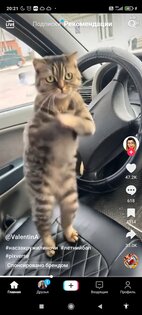 Tiktok Мод (выкладывание видео, синий tiktok). Скриншот 3