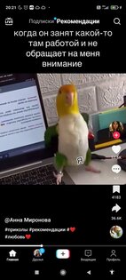 Tiktok Мод (выкладывание видео, синий tiktok). Скриншот 4