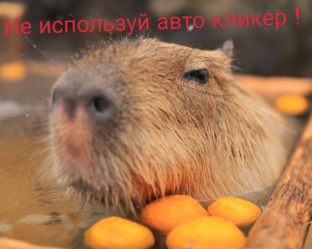 КапиКликер