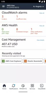 AWS Console 3.10.1. Скриншот 1