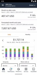 AWS Console 3.10.1. Скриншот 3