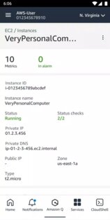 AWS Console 3.10.1. Скриншот 5